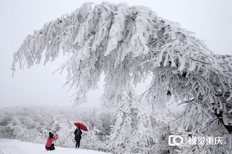 这个周末去看雪!未来三天重庆海拔1000米以上地区有雨