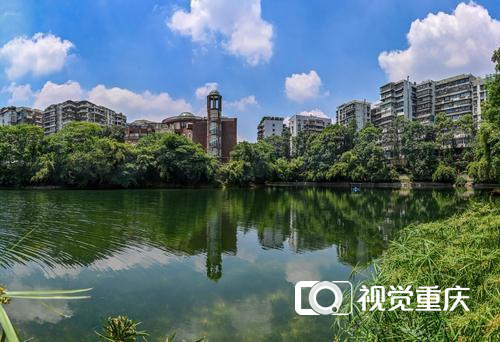 5月29日,重庆市渝北区双龙湖公园,湖水清澈见底.