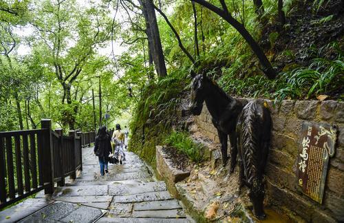 黄葛古道提档升级 助力两江四岸核心区山城步道建设