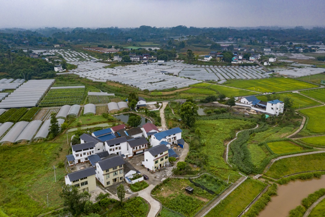 2021年8月15日,永川区五间镇新建村.