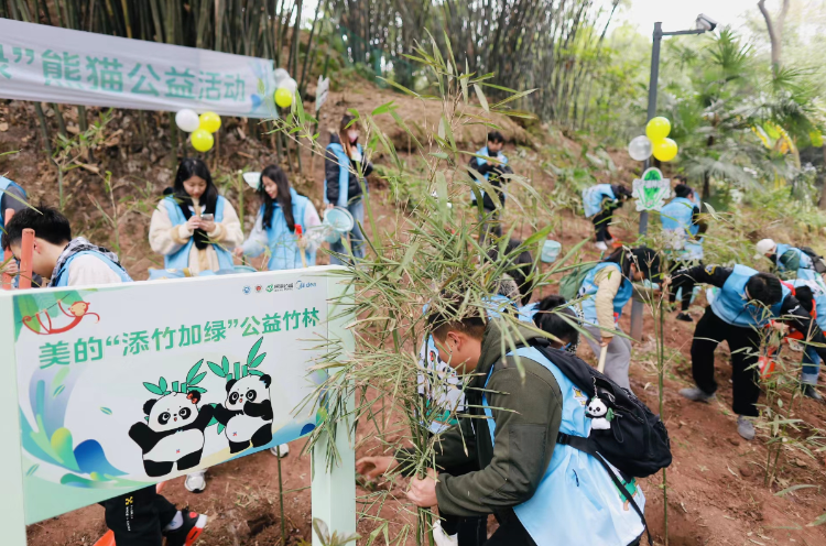 【重庆日报】“美的‘添竹加绿’熊猫公益活动”启动 志愿者为动物园大熊猫种下 80 余株竹苗