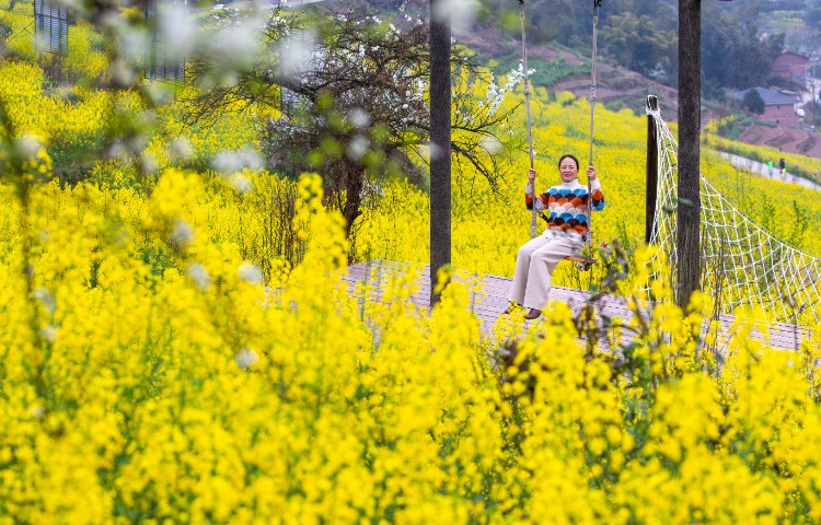 赏花图踏青图片