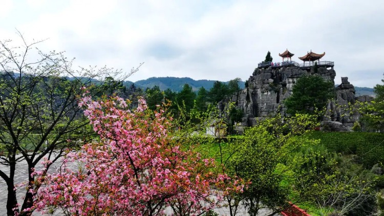 万盛旅游景点大全图片