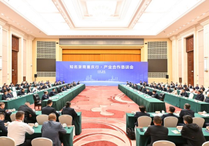 知名浙商重庆行·产业合作恳谈会举行 袁家军出席并讲话 胡衡华主持 南存辉出席