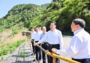 袁家军：不折不扣抓好督察问题整改 更好推动绿水青山转化为金山银山