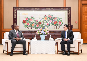 袁家军胡衡华会见中非共和国总统图瓦德拉