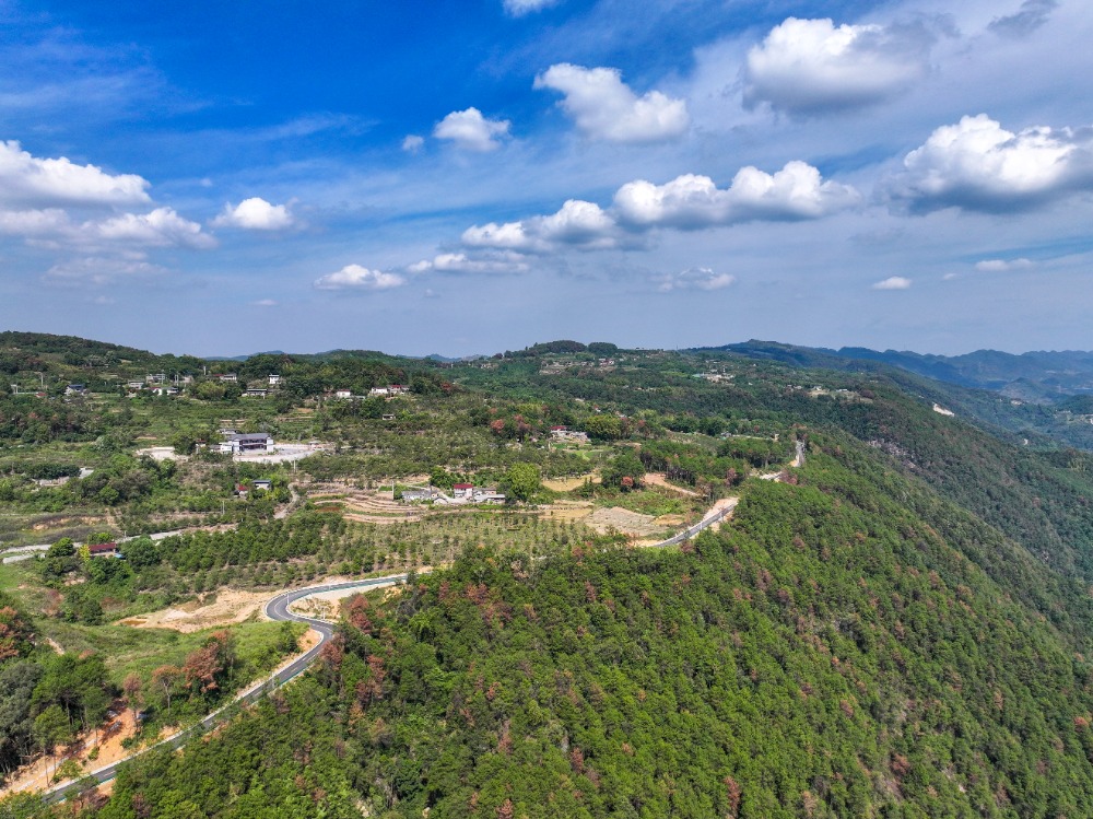 北碚西山坪桃花山图片