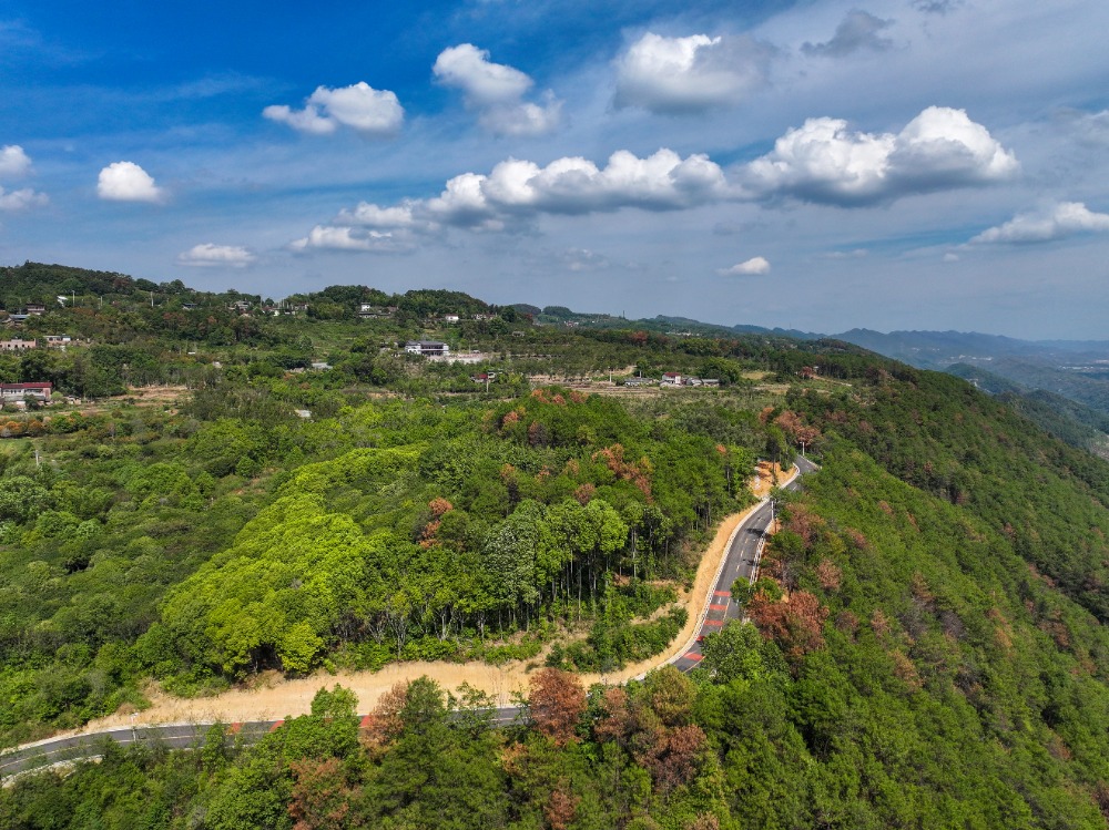 北碚西山坪桃花山图片