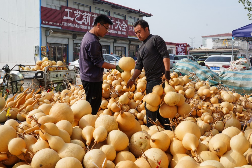 山东聊城葫芦批发市场图片