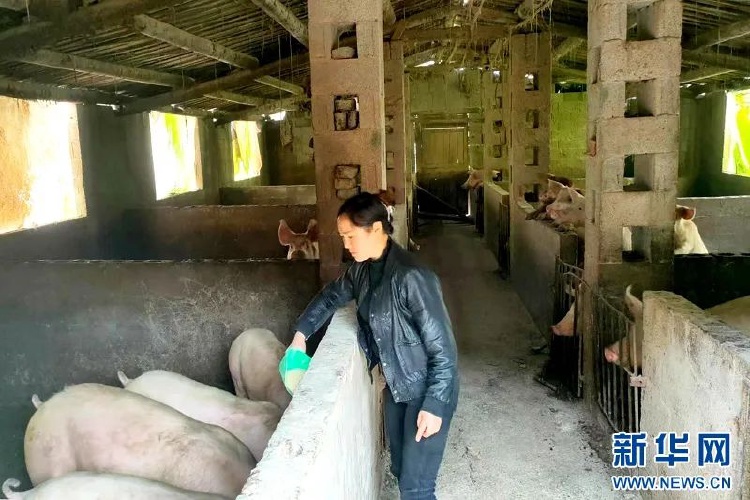 开元体育“人才下乡”之路怎样走？(图5)