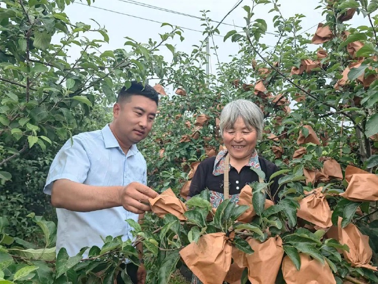开元体育“人才下乡”之路怎样走？(图1)
