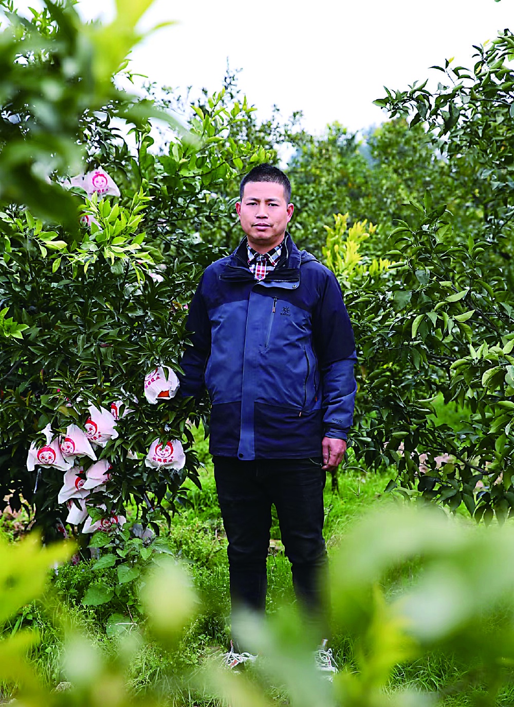 致富带头人简介怎么写(致富带头人简介怎么写啊)
