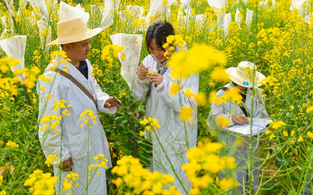 1、 万州区甘宁镇，科研人员曾川带领研究生采集花粉。.jpg