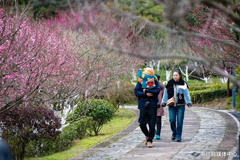 花开迎客来 胡波 (6)_副本.jpg