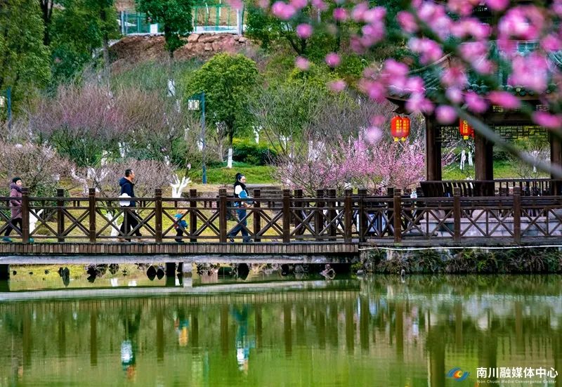 花开迎客来 胡波 (7)_副本.jpg