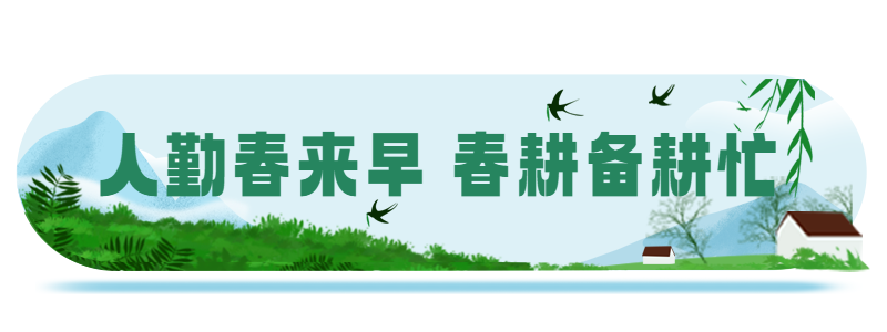 人勤春来早 春耕备耕忙 胶囊贴片.png