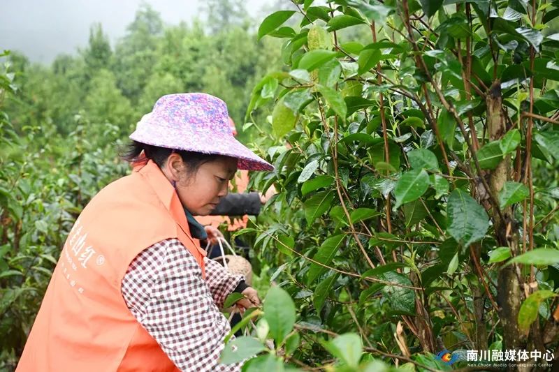 GHM_9857_副本.jpg
