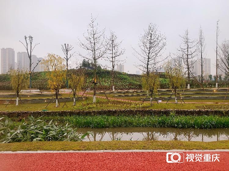 微信图片_20201231181726.jpg