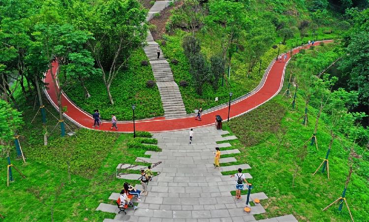 2020年5月24日,市民在沙坪坝渝碚路清水溪休闲湿地公园登高观景