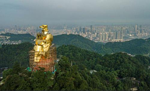 南山大金鹰图片