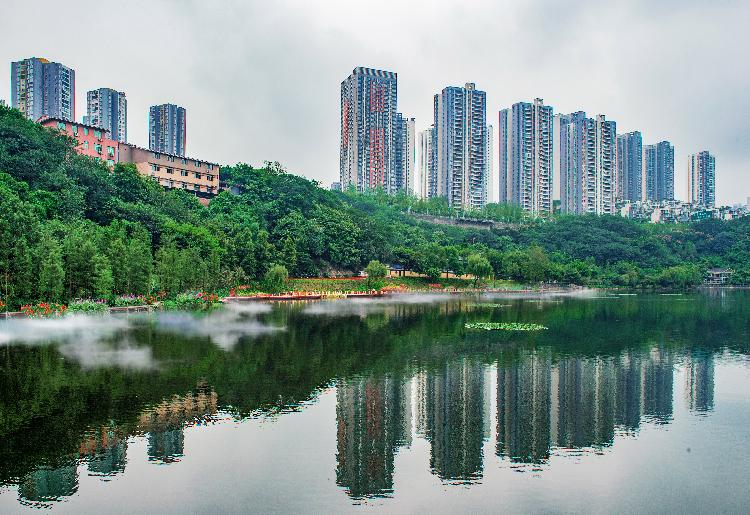 九龙坡区彩云湖 与城市一同生长的湿地公园