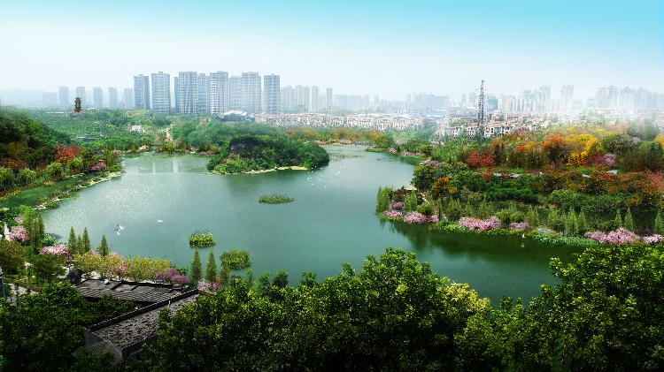 九龙坡区彩云湖 与城市一同生长的湿地公园