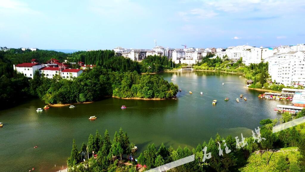 QQ截图20240815104809