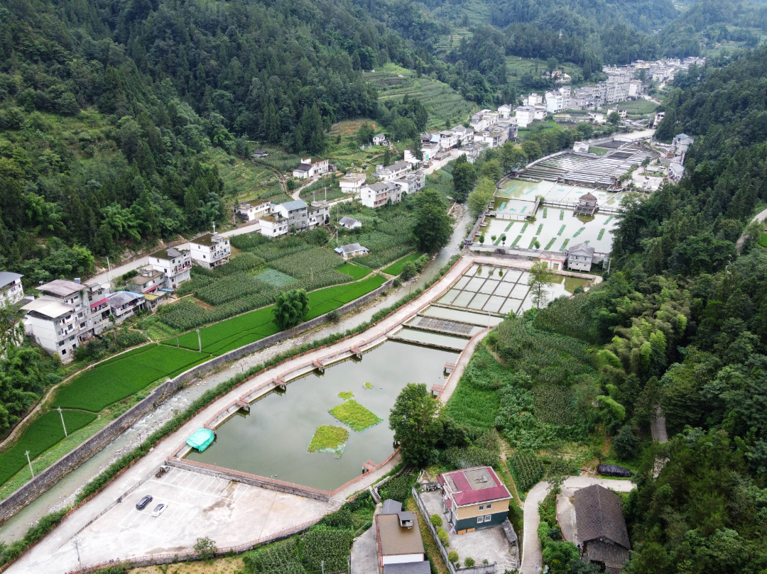 7月19日，航拍彭水县太原镇泉水渔都。——李攀.jpg