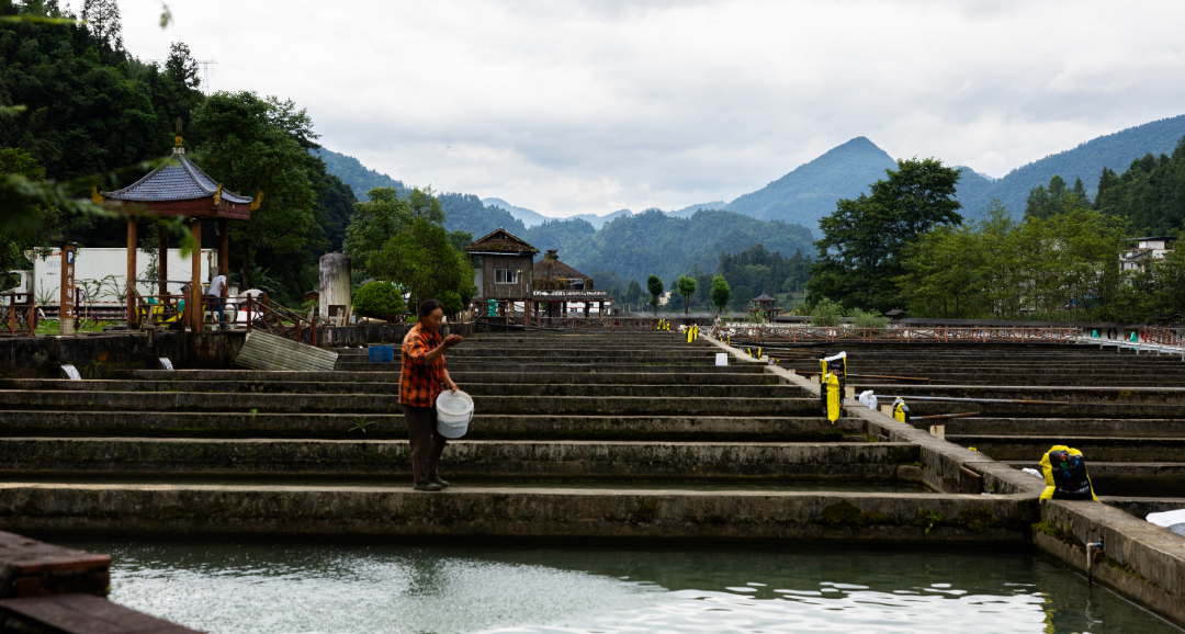 唐明兵 (1).jpg