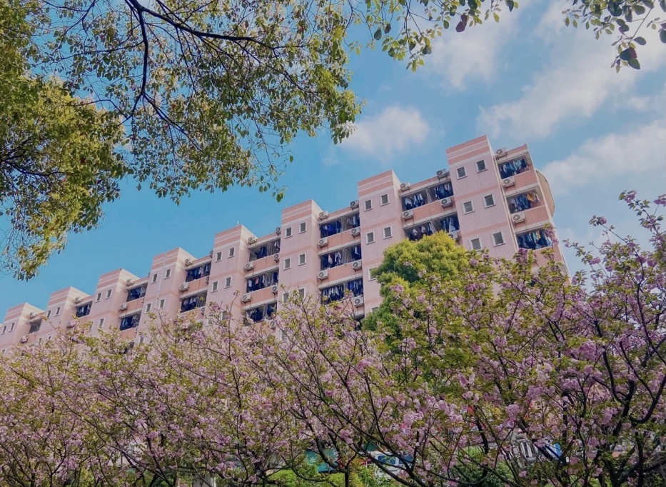 2020重庆邮电大学图片