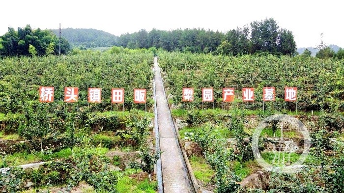 直播带货(请多用图)-FZ10046628768.jpg