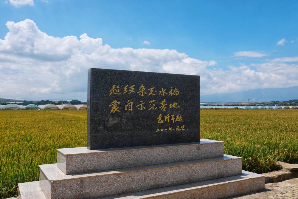 00、袁隆平院士生前题词的蒙自基地题词碑。2Z1A5771-01.jpeg?x-oss-process=style/w10
