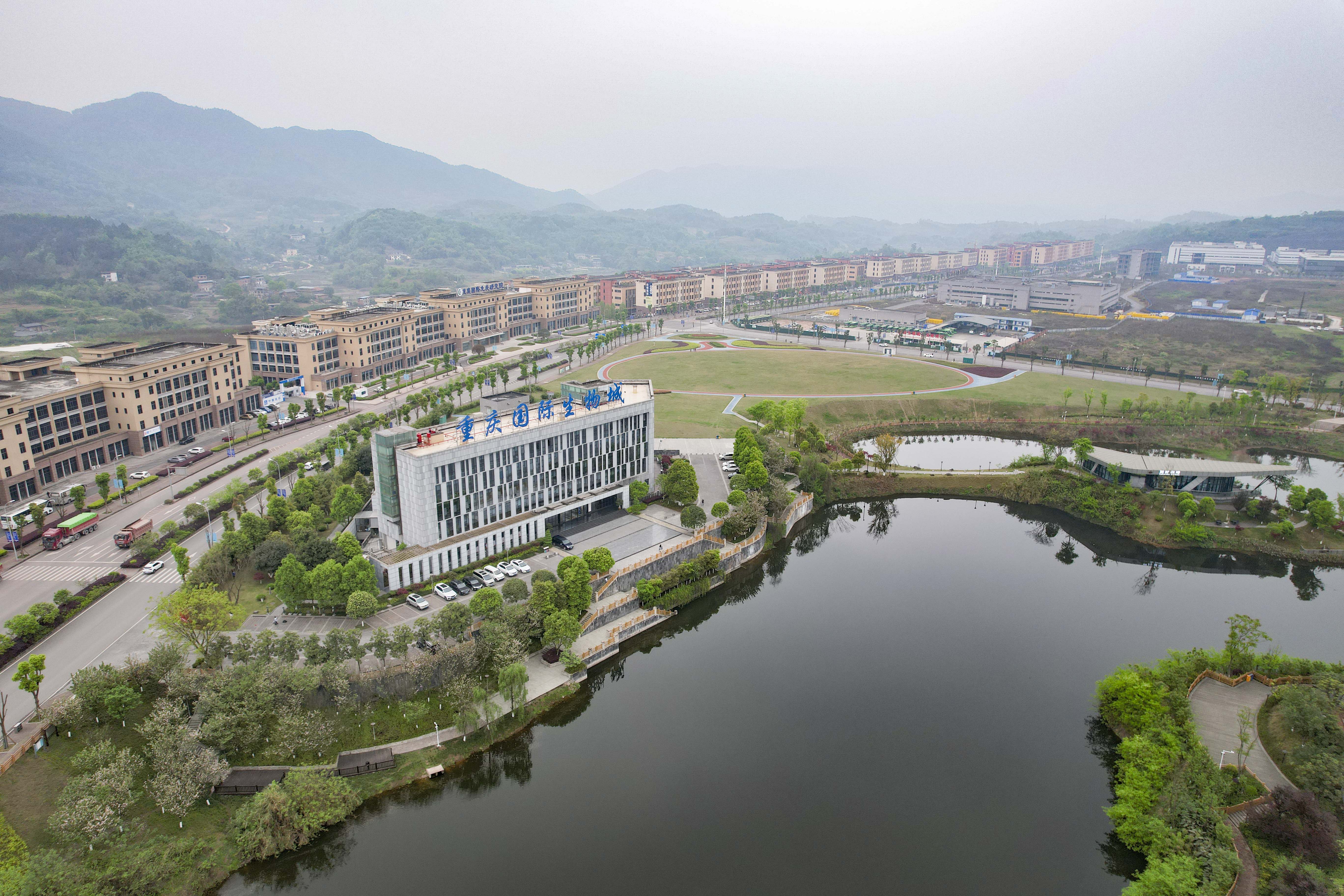 重庆生物城小学图片