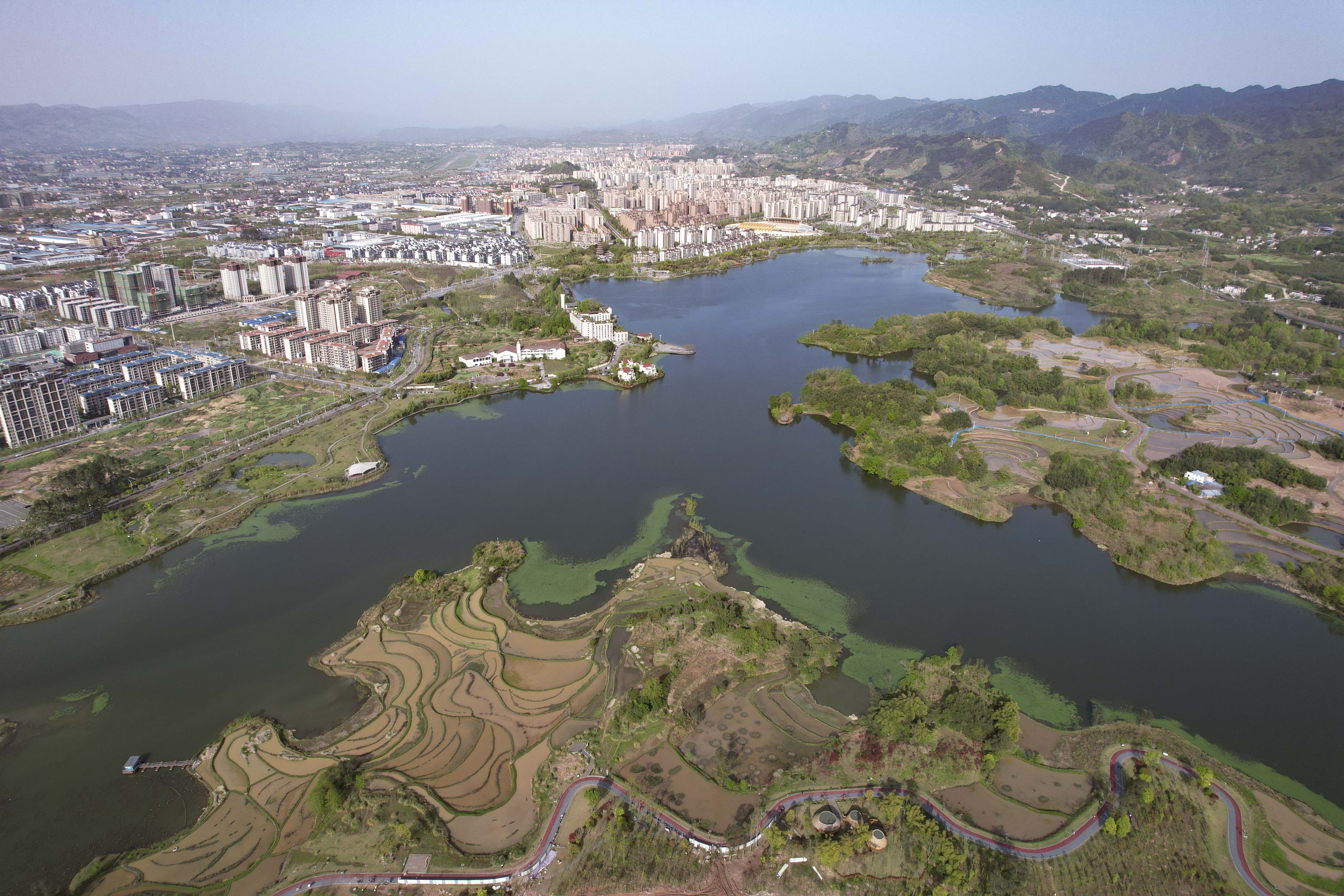 双桂湖国家湿地公园图片