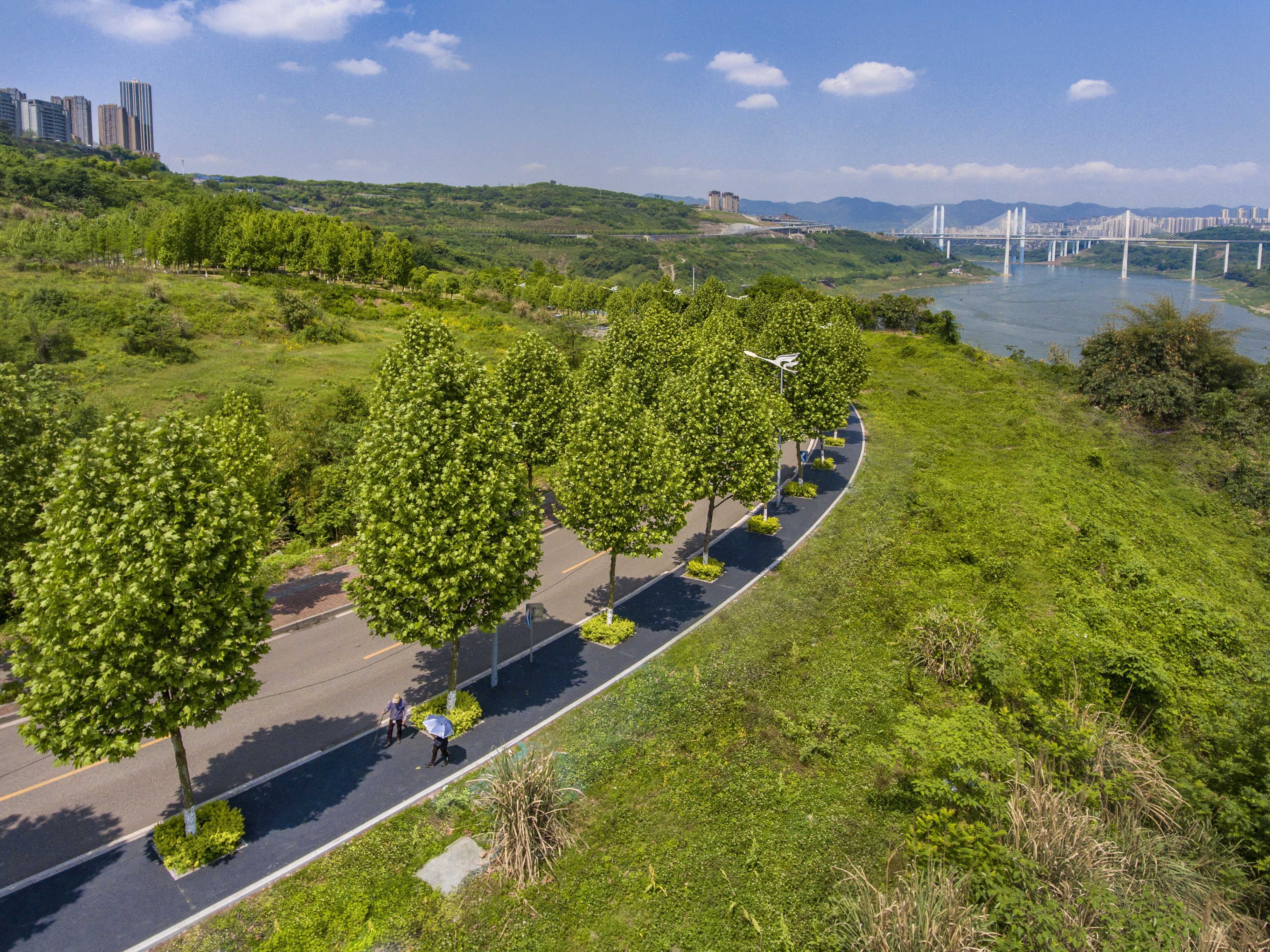 BOB半岛·体育(中国)官方网站城市“有机”更新 幸福“近在咫尺”——从山城步道(图7)