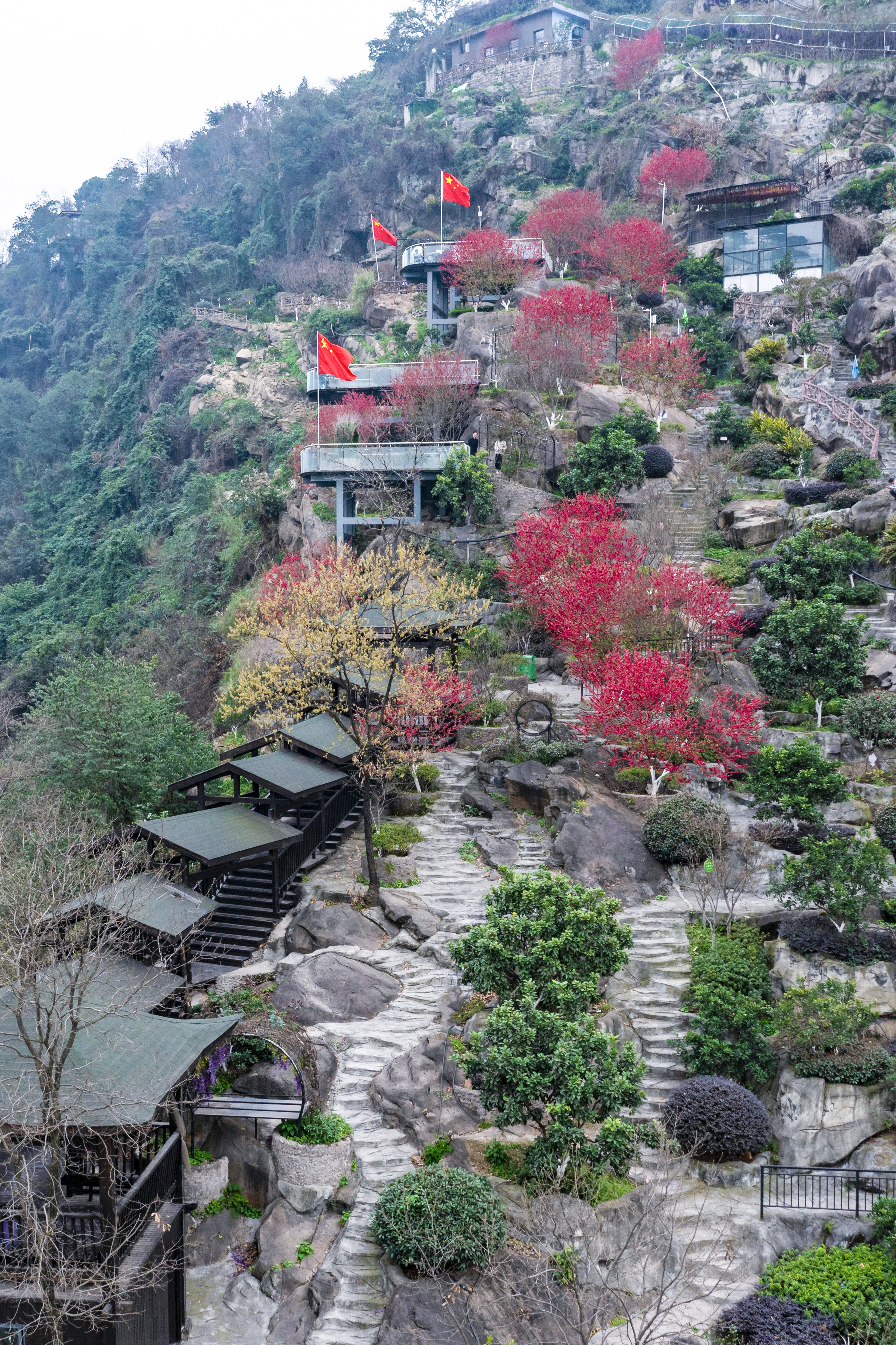 垃圾山变身悬崖花园 铜锣花谷生态园春季赏花季拉开大幕 