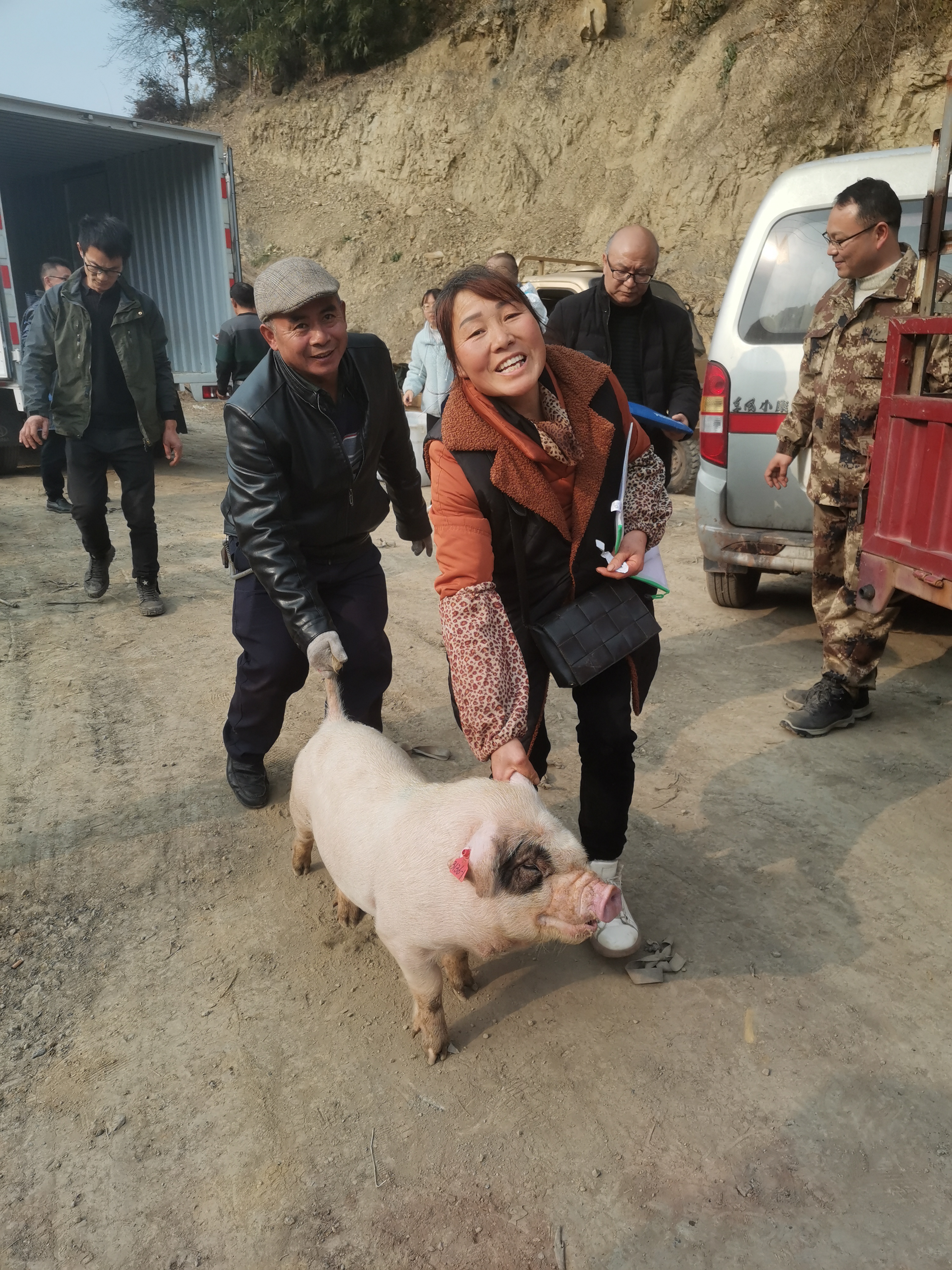 重庆荣昌最大养猪场图片