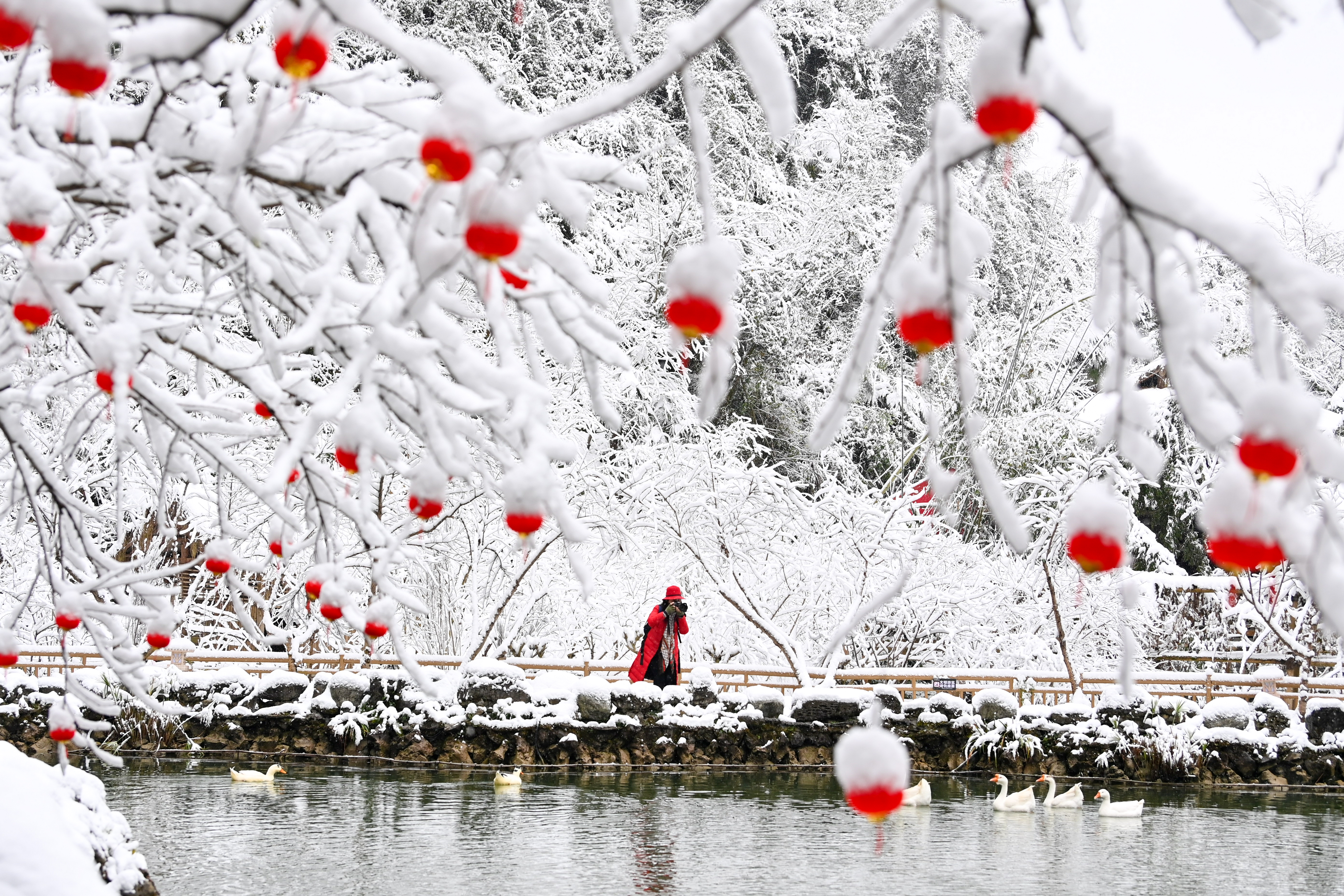 重庆奉节下雪图片