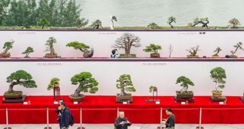 微信截图_20191031191449.png