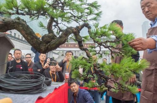 微信截图_20191031192149.png