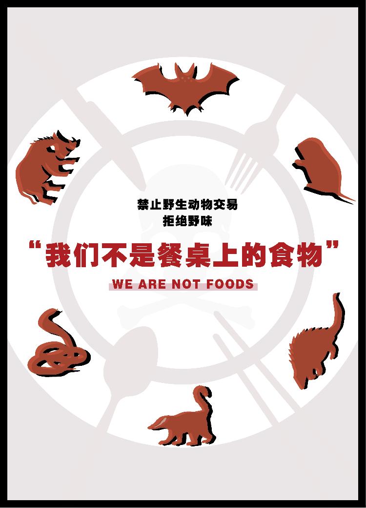 02 防治科普 海报 02 刘佳欣.jpg