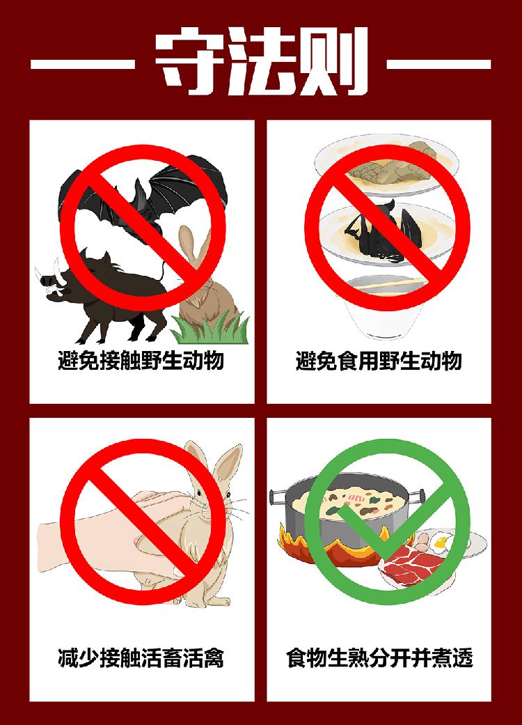 02 科普防治 连环画 03 柳洁  杨航.jpg