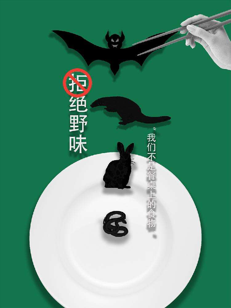 12-王员员《拒绝野味》.jpg