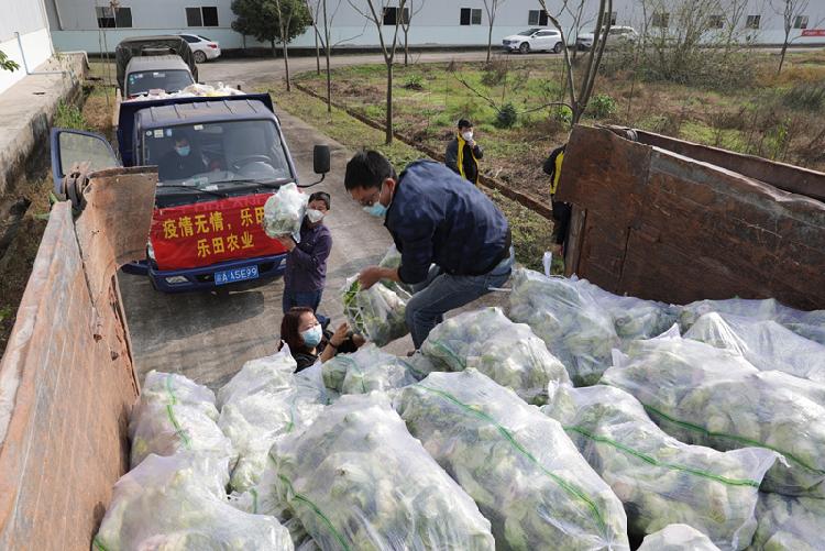 (配湯艷娟稿件圖)大足7家農(nóng)業(yè)主體緊急“(4165214)-20200214130502.jpg