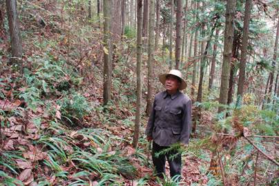 李志银在林地里.jpg