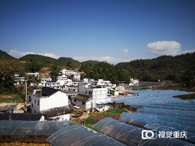 重庆市巫山县双龙镇图片