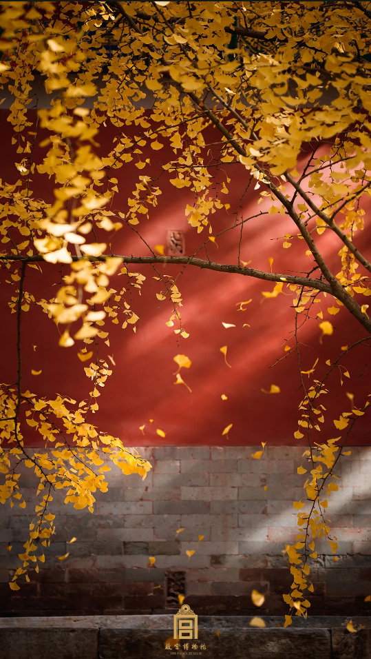 故宫秋天的景色图片